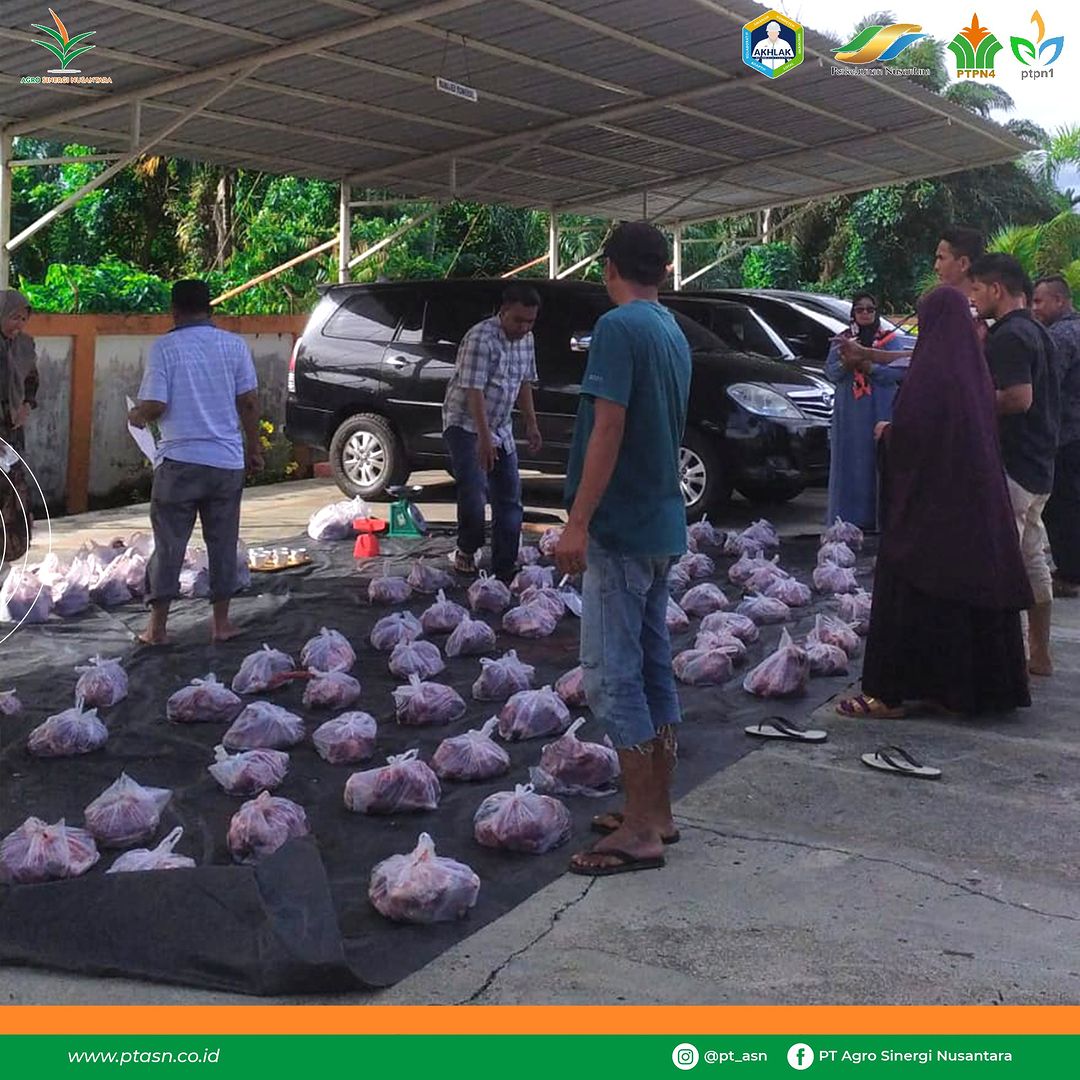 PT Agro Sinergi Nusantara Membagikan Hewan Qurban pada Idul Adha 1444 H